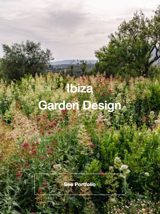 Ibiza Garden Design